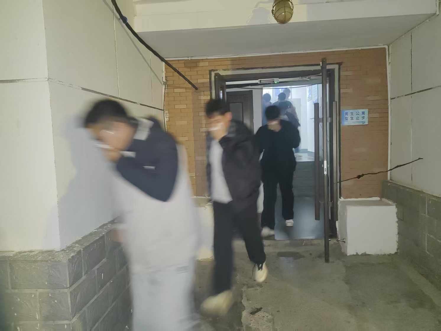 95bf86abd6e5e310f39b88910ce7c2f